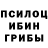 Галлюциногенные грибы MAGIC MUSHROOMS R1fma Chert