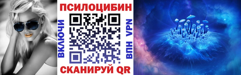 блэк спрут зеркало  Фокино  Галлюциногенные грибы Psilocybe 